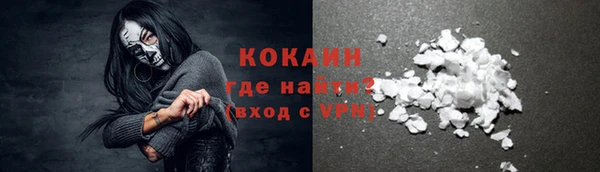 индика Новодвинск