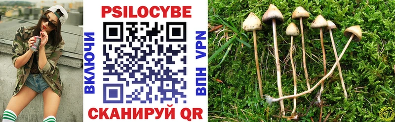 Галлюциногенные грибы ЛСД  omg вход  Карабаш 